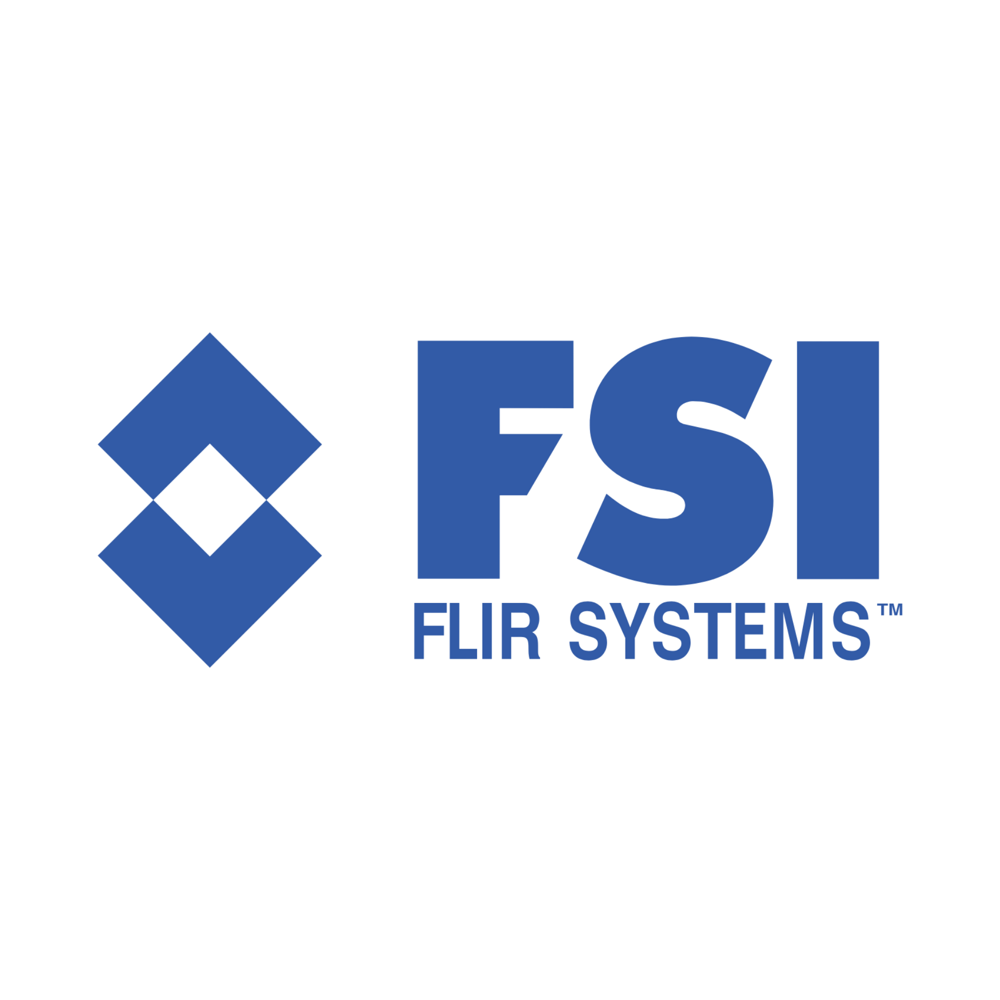 FSI Flir Systems logo